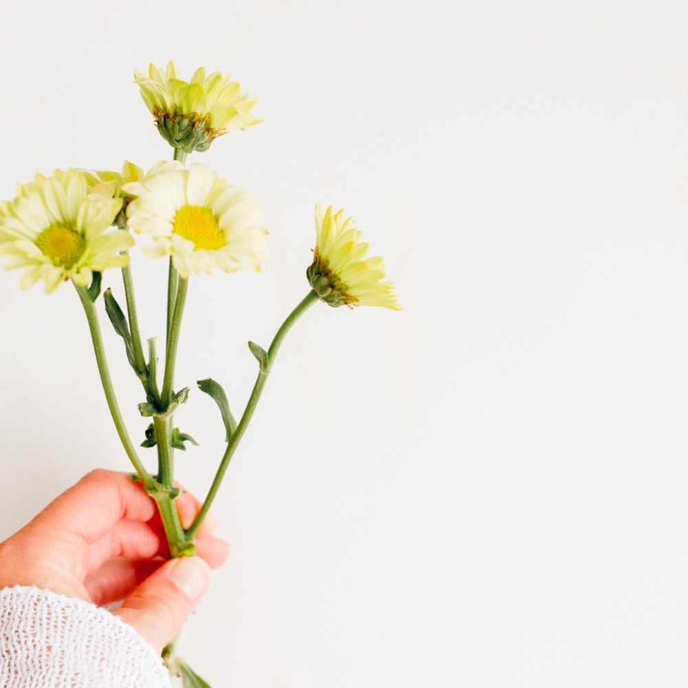 Meet your Posher, Joy